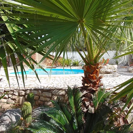 Casa Vacanze Ulivetum Casa vacanze